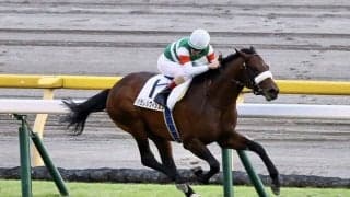 【東京12R】パラレルヴィジョンが断然の人気に応える