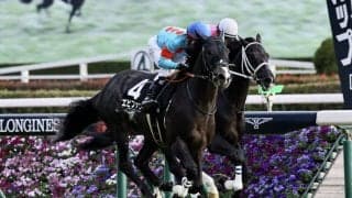 【ノベンバーS】エピファニーが4連勝でOP入り