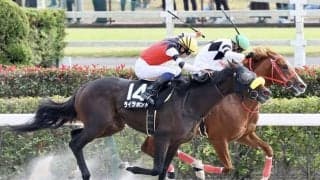 【神奈川新聞杯】キズナ産駒 ライラボンドが接戦を制する
