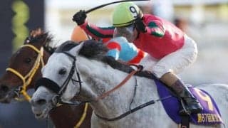 【今日の注目ポイント】東京でアルゼンチン共和国杯、阪神ではみやこS