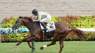 今年のアルゼンチン共和国杯は波乱含み。人気の実績馬より、勢いある「上がり馬」２頭に妙味あり