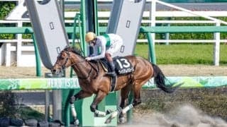 【みやこS予想】芝並みのスピードを誇るニュースター誕生の予感