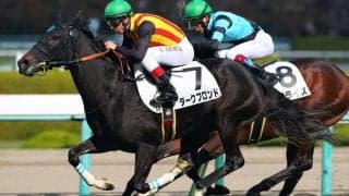 【新馬/阪神5R】C.デムーロ騎乗 ダークブロンドが人気に応える