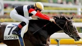 【新馬/東京6R】キラーアビリティ半弟 ジェイパームスがデビューV