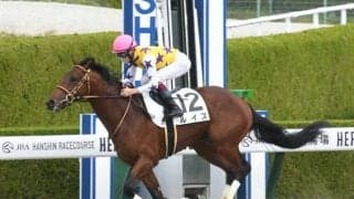 【阪神4R新馬戦結果】ルイスが逃げ切って3馬身半差の圧勝