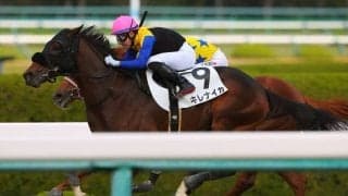 【新馬/阪神6R】ハービンジャー産駒 キレナイカがデビューV