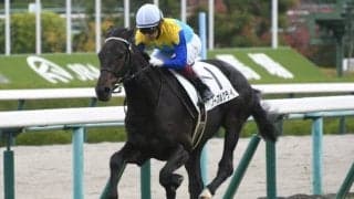 【阪神5R新馬戦結果】ハーツクライ産駒ノーブルクライが4馬身差を付けて白星発進
