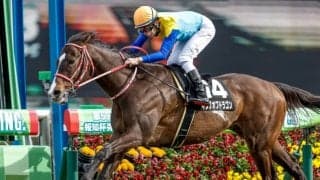 アルゼンチン共和国杯のキングオブドラゴンは平地調教再審査に 11月6日の達成記録、疾病の一覧