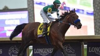 米G1・ブリーダーズカップ2022勝ち馬の一覧 世界レーティング1位「無敗の怪物」フライトラインなど