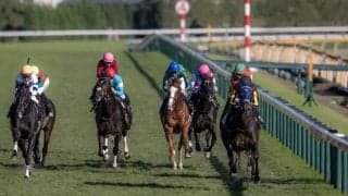 【百日草特別】良血キングズレインが連勝