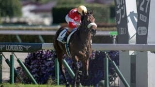 【新馬/東京5R】ロードカナロア産駒 レッドロスタムがデビューV