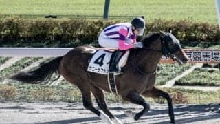 【新馬/東京4R】ヘニーハウンド産駒 サニーサフランがデビューV