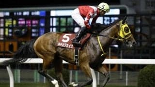 暮れの2歳女王目指す14頭が集結/川崎・ローレル賞枠順