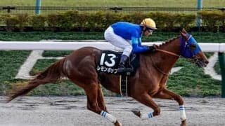 【武蔵野S見どころ】レモンポップが5連勝で重賞制覇を狙う