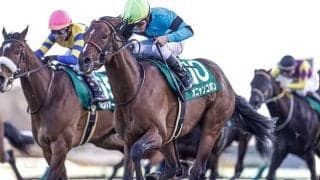 【福島記念見どころ】オニャンコポンの巻き返しなるか