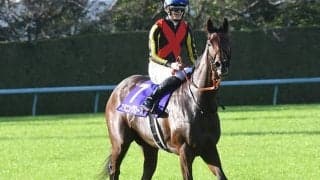 【エリザベス女王杯見どころ】秋華賞馬スタニングローズが古馬撃破に挑む