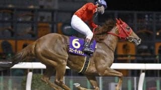 【川崎・ロジータ記念枠順】南関東牝馬クラシック2冠馬スピーディキックは8枠14番