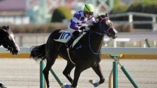 【新馬/東京6R】単勝161倍 ブルーイングリーンがVで大波乱