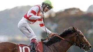 【京王杯2歳S】売上は31億4904万2600円で昨年から1億円増加