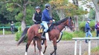 GII馬ヴァンドギャルドを兄に持つソールオリエンスが田辺裕信騎手でデビュー/関東馬メイクデビュー情報