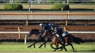 ディープインパクト産駒のライトクオンタムがC.ルメール騎手でデビュー/関西馬メイクデビュー情報