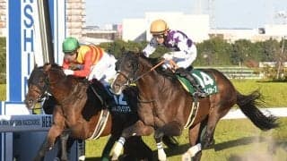 【みやこS】売上は51億2606万8300円で昨年から約4億円増加