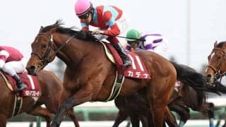 天皇賞・秋に5度出走の古豪やキーファーズ初のJRA重賞馬らがJRA登録を抹消