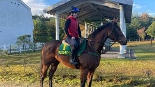 愛オークス馬マジカルラグーン エリザベス女王杯の結果次第でジャパンCも視野に