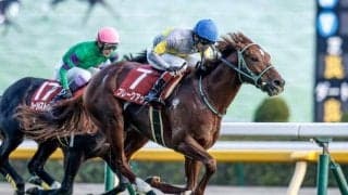 サンデーもキンカメも持たない血統で中長距離重賞勝利