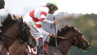 ダート向きのディスクリートキャット産駒 デビュー2連勝で重賞制覇