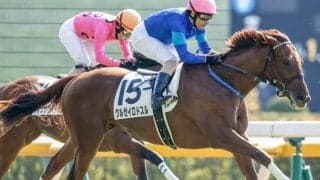 【デイリー杯2歳S展望】朝日杯FSの前哨戦、前走未勝利組に妙味