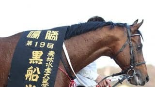  2017年の黒船賞覇者が予後不良に 高知けいばの見習い誘導馬としても活躍