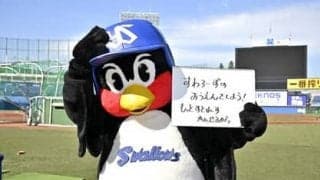 つば九郎の人生相談「毎日ストレス。少しでも毎日楽しくすごすためには？」