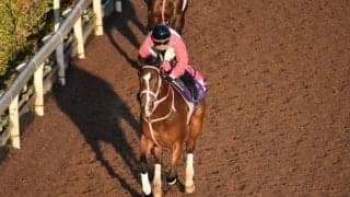 レシステンシアなど、先週の入厩情報/栗東トレセンニュース