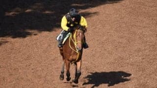 ワンダイレクトなど、先週のゲート試験/栗東トレセンニュース