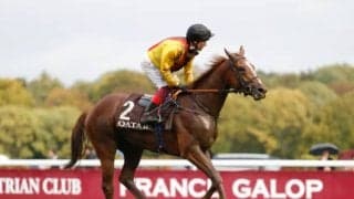 引退した昨年の凱旋門賞馬の弟が10馬身差でG1圧勝 ジャパンカップに予備登録中