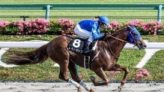 【武蔵野S想定騎手】レモンポップは戸崎圭太騎手、タガノビューティーは石橋脩騎手