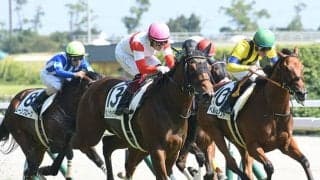 【デイリー杯2歳S想定騎手】ダノンタッチダウンは川田将雅騎手、シルヴァーデュークはC.デムーロ騎手