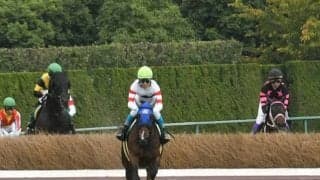 【京都ジャンプS想定騎手】ホッコーメヴィウスは黒岩悠騎手、ヴァーダイトは小牧加矢太騎手