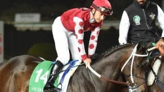 落札価格は約8億円！ ノーザンファーム吉田勝己氏がアメリカの名牝を購入