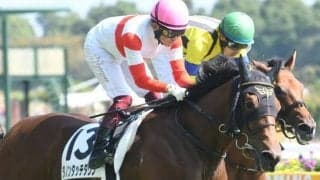 【デイリー杯2歳S予想オッズ】ダノンタッチダウンが予想1番人気