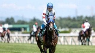 【京都ジャンプS予想オッズ】ホッコーメヴィウスが予想1番人気