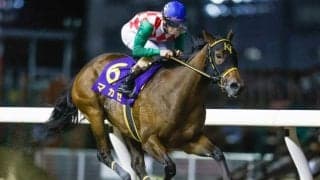 【川崎・ローレル賞結果】地元のマカゼが2馬身差逃げ切って重賞初V