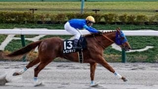 【武蔵野S展望】コース巧者が幅を利かせるレース、注目はあの馬