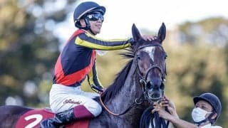 非根幹距離の勝率70％超！G1・7勝馬の娘がエリザベス女王杯制覇へ