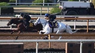 ソダシ、マイルCS1週前追い切り速報/栗東トレセンニュース