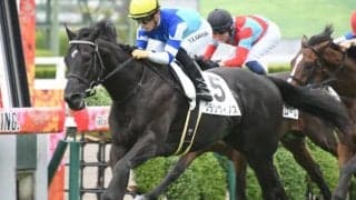 父キタサンブラック、半兄シュヴァルグラン 期待の良血馬が京都2歳Sで重賞初挑戦