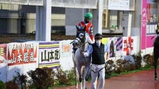 レーヌブランシュが競走馬登録抹消