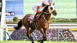 ロンドンプランが故障