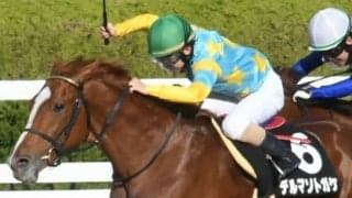 13年関東オークス馬の仔が全日本2歳優駿に参戦予定